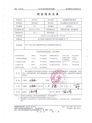 綜保檢驗報告總結(jié)4